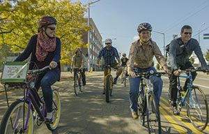 Group of bicyclists